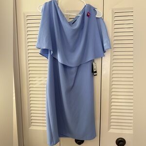 Adrianna Papell SPLT SLV POP OVR CMRN TXT DS Blue dress